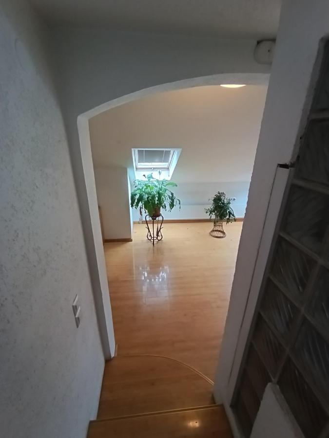 Apartman Ana SJJ