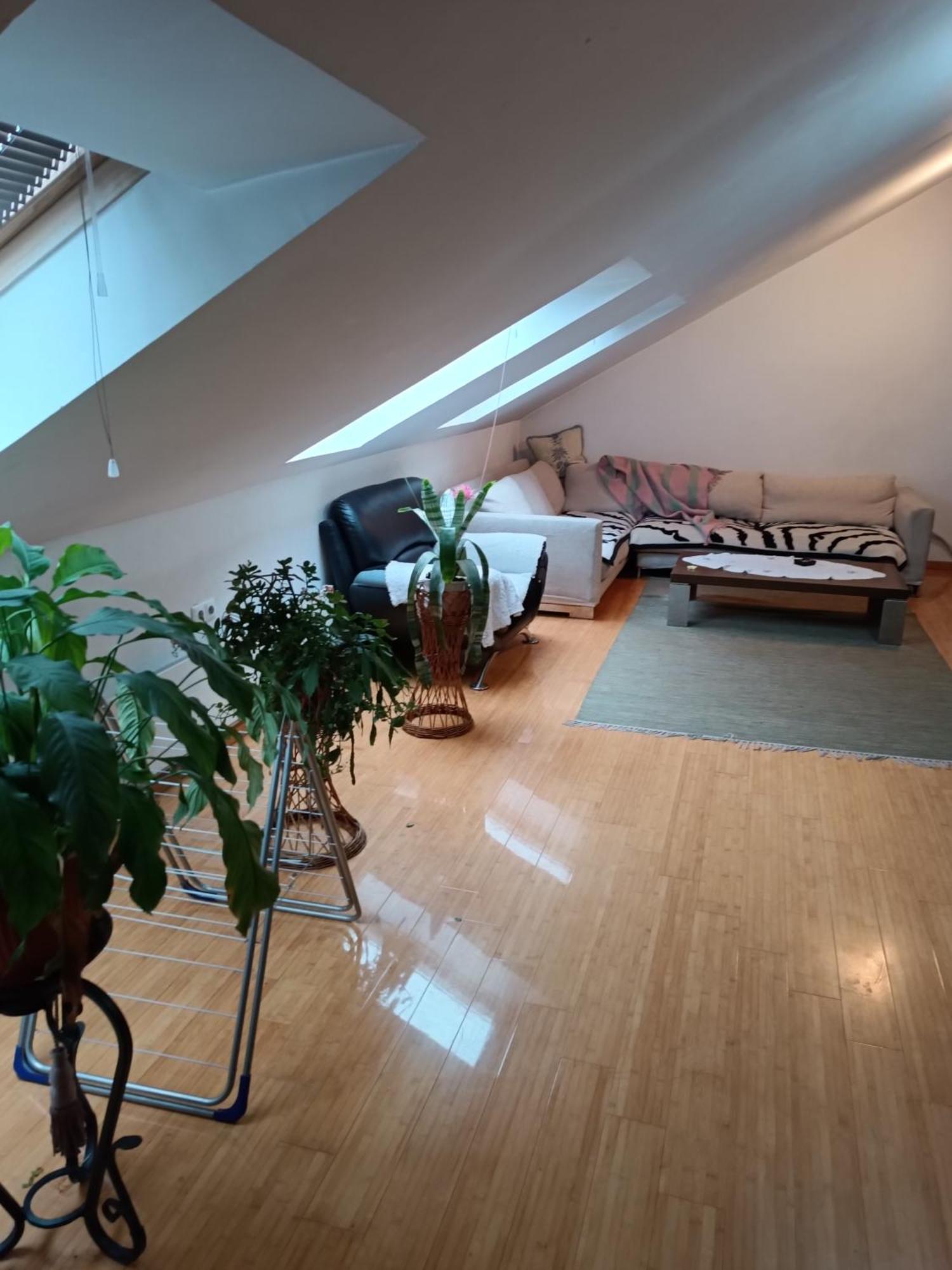 Apartman Ana